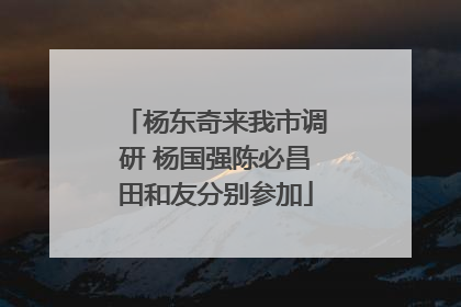 杨东奇来我市调研 杨国强陈必昌田和友分别参加