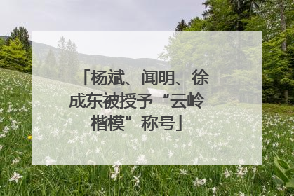 杨斌、闻明、徐成东被授予“云岭楷模”称号