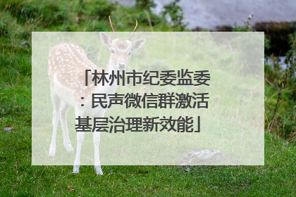 林州市纪委监委：民声微信群激活基层治理新效能