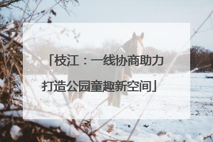 枝江：一线协商助力打造公园童趣新空间
