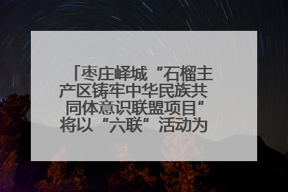 枣庄峄城“石榴主产区铸牢中华民族共同体意识联盟项目”将以“六联”活动为抓手深化品牌建设