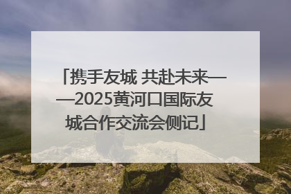 携手友城 共赴未来——2025黄河口国际友城合作交流会侧记