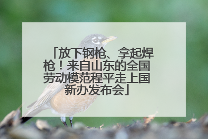 放下钢枪、拿起焊枪！来自山东的全国劳动模范程平走上国新办发布会