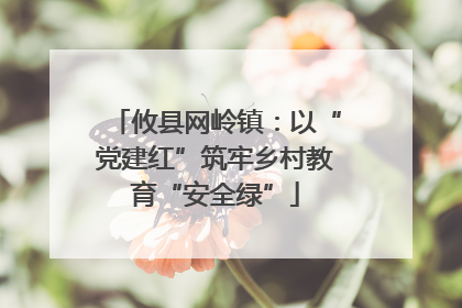 攸县网岭镇：以“党建红”筑牢乡村教育“安全绿”