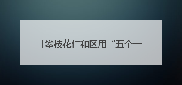 攀枝花仁和区用“五个一”描绘乡村文化新图景