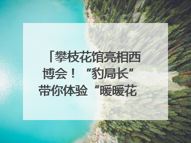 攀枝花馆亮相西博会！“豹局长”带你体验“暖暖花城”独特魅力｜西博视界