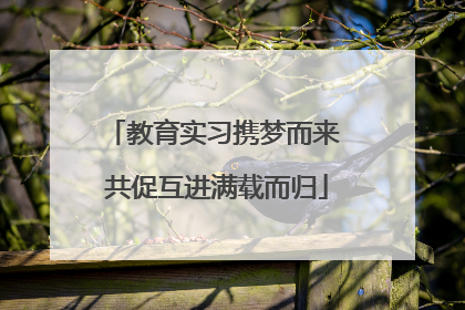 教育实习携梦而来 共促互进满载而归