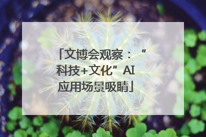 文博会观察：“科技+文化”AI应用场景吸睛