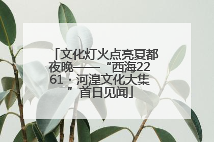 文化灯火点亮夏都夜晚——“西海2261・河湟文化大集”首日见闻
