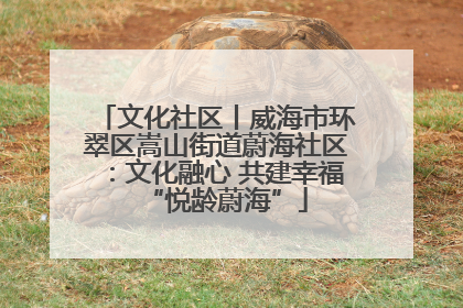 文化社区丨威海市环翠区嵩山街道蔚海社区：文化融心 共建幸福“悦龄蔚海”