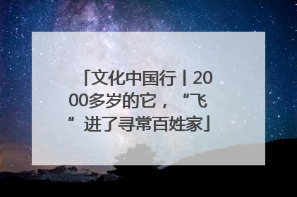文化中国行丨2000多岁的它，“飞”进了寻常百姓家