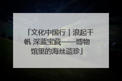 文化中国行｜浪起千帆 深蓝宝藏——博物馆里的海丝遗珍