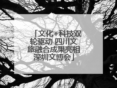 文化+科技双轮驱动 四川文旅融合成果亮相深圳文博会