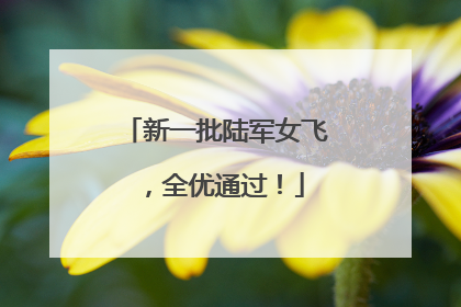 新一批陆军女飞，全优通过！