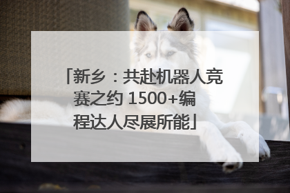 新乡：共赴机器人竞赛之约 1500+编程达人尽展所能