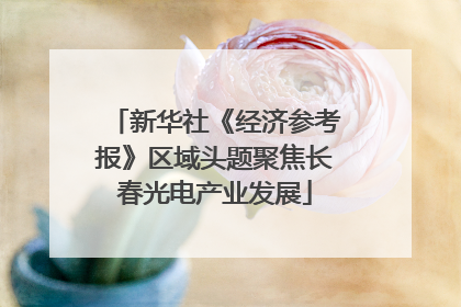 新华社《经济参考报》区域头题聚焦长春光电产业发展