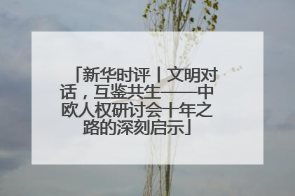 新华时评丨文明对话，互鉴共生——中欧人权研讨会十年之路的深刻启示