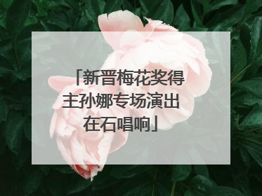 新晋梅花奖得主孙娜专场演出在石唱响