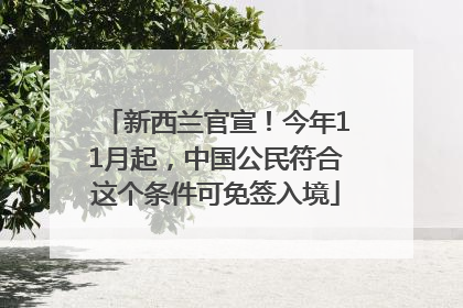 新西兰官宣！今年11月起，中国公民符合这个条件可免签入境