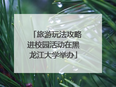 旅游玩法攻略进校园活动在黑龙江大学举办