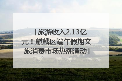 旅游收入2.13亿元！麒麟区端午假期文旅消费市场热潮涌动
