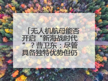 无人机航母能否开启“新海战时代”？曹卫东：尽管具备独特优势但仍无法与传统航母相提并论