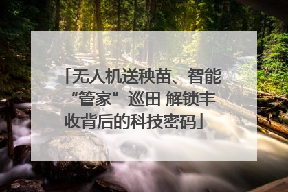无人机送秧苗、智能“管家”巡田 解锁丰收背后的科技密码