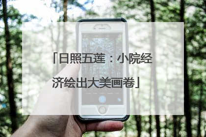 日照五莲：小院经济绘出大美画卷