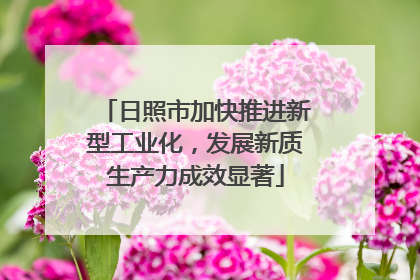 日照市加快推进新型工业化，发展新质生产力成效显著