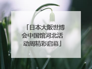 日本大阪世博会中国馆河北活动周精彩启幕