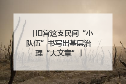 旧宫这支民间“小队伍”书写出基层治理“大文章”
