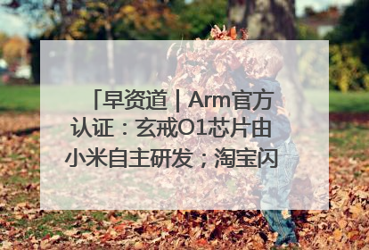 早资道｜Arm官方认证：玄戒O1芯片由小米自主研发；淘宝闪购联合饿了么日订单超4000万