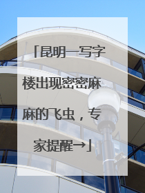 昆明一写字楼出现密密麻麻的飞虫，专家提醒→