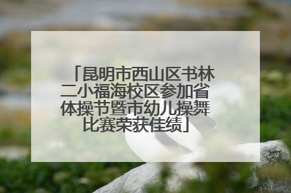 昆明市西山区书林二小福海校区参加省体操节暨市幼儿操舞比赛荣获佳绩