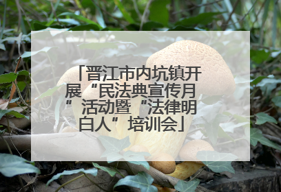 晋江市内坑镇开展“民法典宣传月”活动暨“法律明白人”培训会