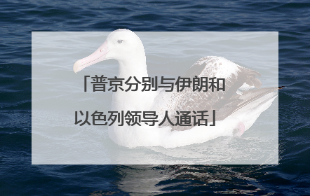 普京分别与伊朗和以色列领导人通话