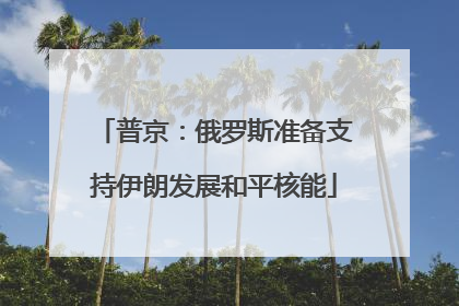 普京：俄罗斯准备支持伊朗发展和平核能