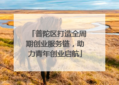 普陀区打造全周期创业服务链，助力青年创业启航
