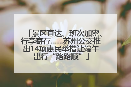 景区直达、班次加密、行李寄存……苏州公交推出14项惠民举措让端午出行“路路顺”