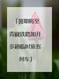 暑期将至 青藏铁路加开多趟临时旅客列车