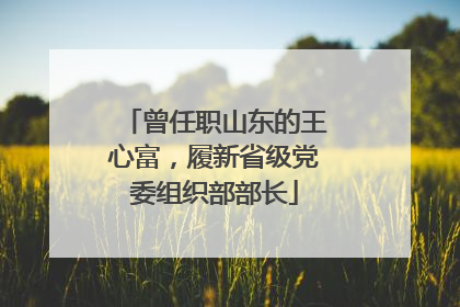 曾任职山东的王心富，履新省级党委组织部部长