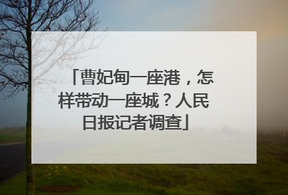 曹妃甸一座港，怎样带动一座城？人民日报记者调查