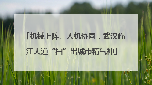 机械上阵、人机协同，武汉临江大道“扫”出城市精气神