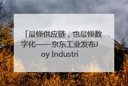 最懂供应链，也最懂数字化——京东工业发布Joy Industrial 重塑工业未来