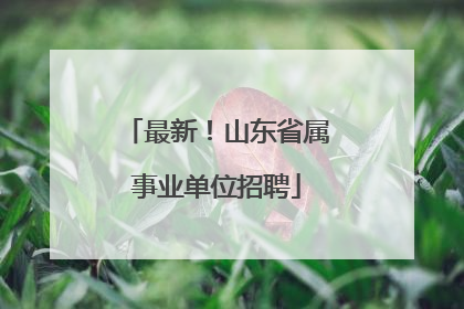 最新！山东省属事业单位招聘