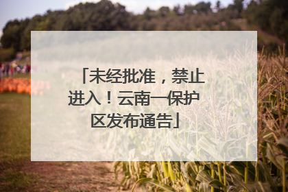 未经批准，禁止进入！云南一保护区发布通告