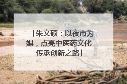 朱文硕：以夜市为媒，点亮中医药文化传承创新之路