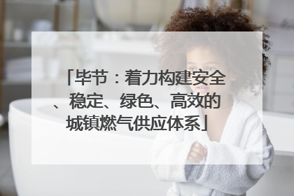 毕节：着力构建安全、稳定、绿色、高效的城镇燃气供应体系