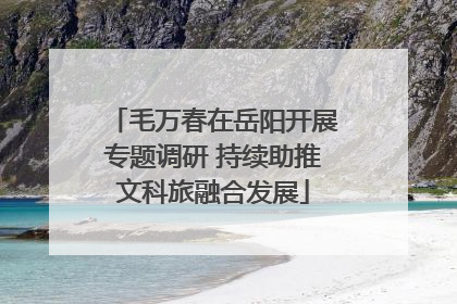 毛万春在岳阳开展专题调研 持续助推文科旅融合发展