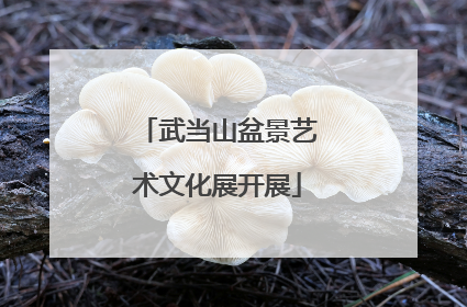 武当山盆景艺术文化展开展